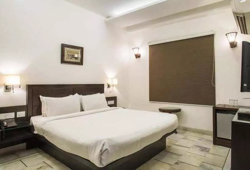 Fotos del hotel The Hotel Mumtaz Mahal:  13