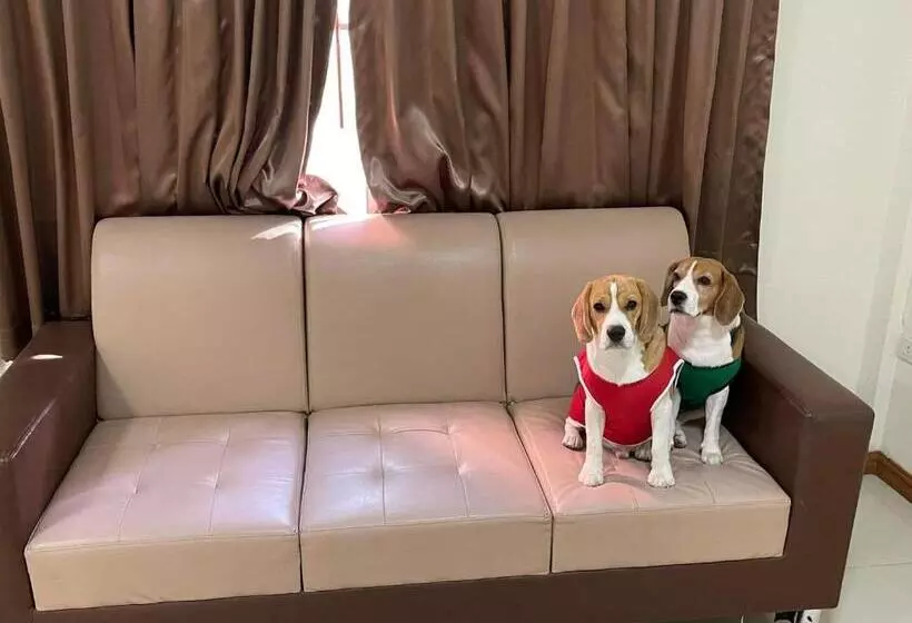 Fotos del hotel Family Resort @khao Yai:  25