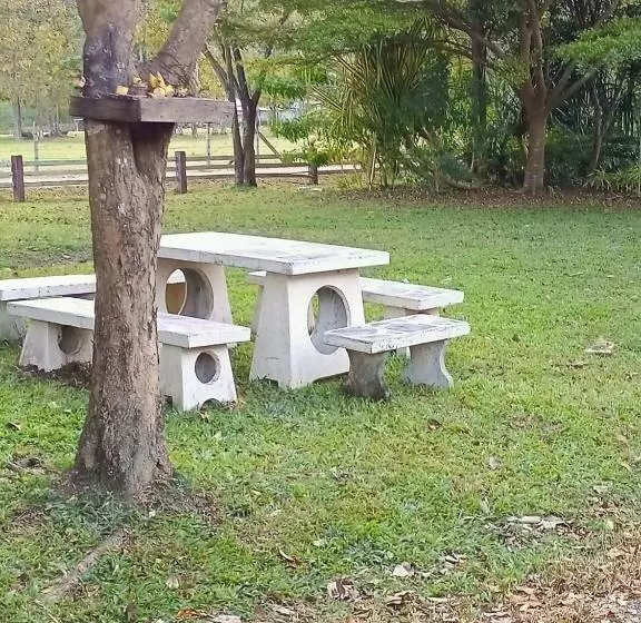 Fotos del hotel Family Resort @khao Yai:  9