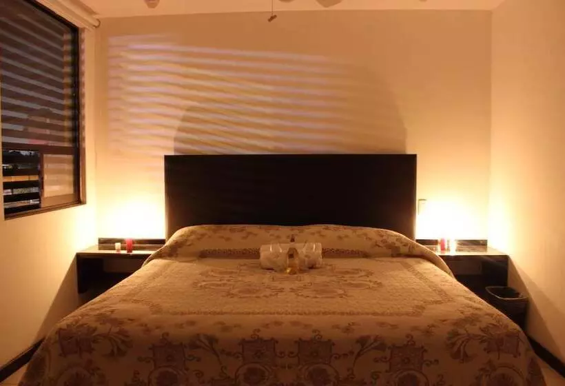 Fotos del hotel Ross Morelia:  16