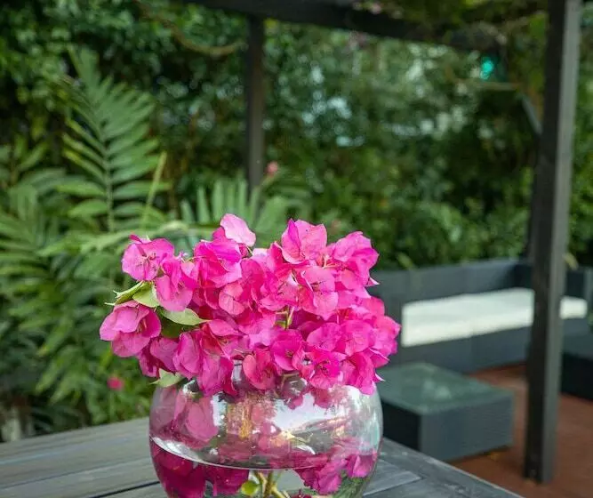 Fotos del hotel The Samoan Outrigger:  25