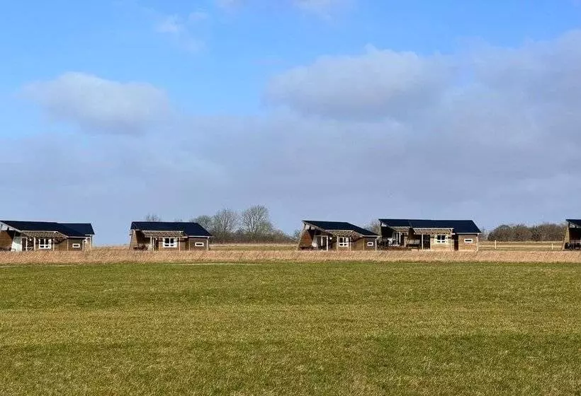 Fotos del hotel Dancamps Kolding:  5