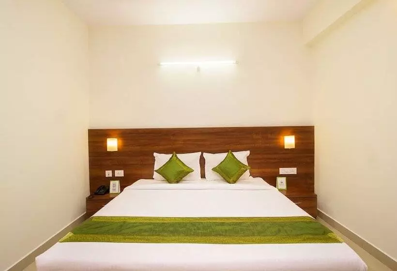 Fotos del hotel Treebo Krrish Inn:  6