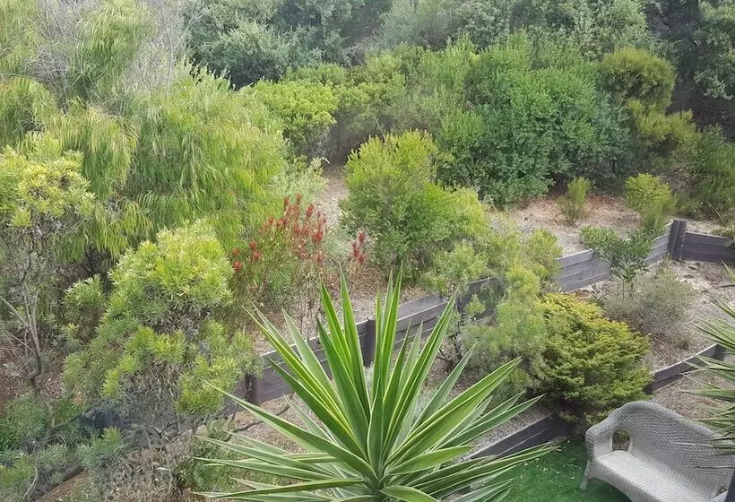 Fotos del hotel Venus Escapes:  11