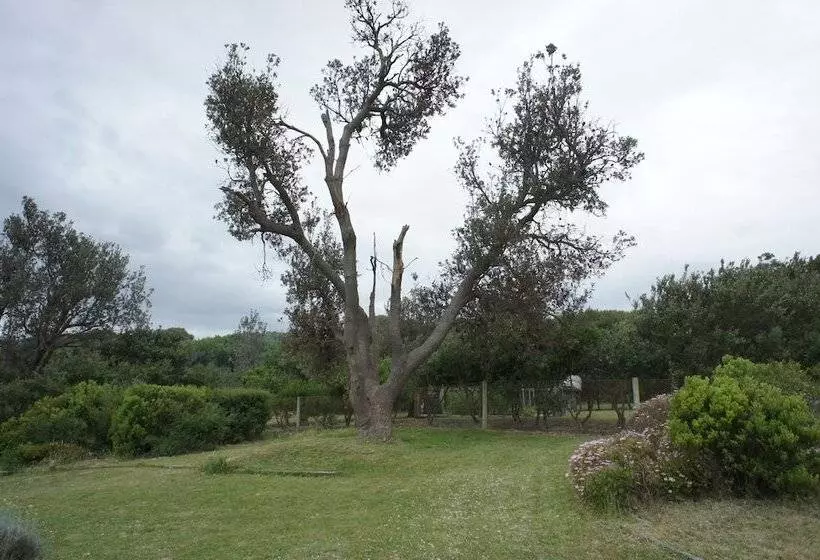 Fotos del hotel Venus Escapes:  5