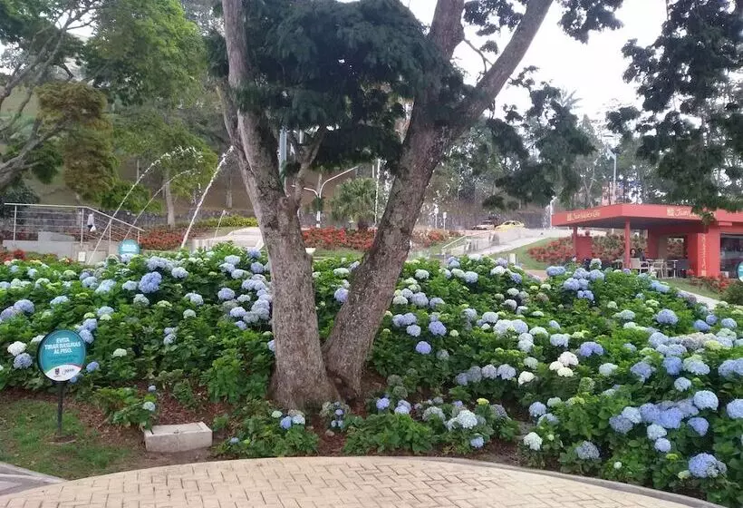 Fotos del hotel Europa  Boutique Manizales:  7