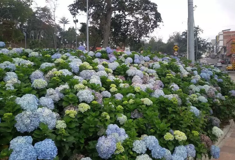 Fotos del hotel Europa  Boutique Manizales:  10