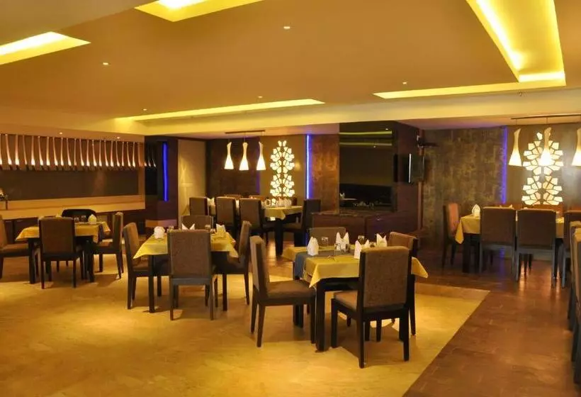 Fotos del hotel Sapna Clarks Inn:  9