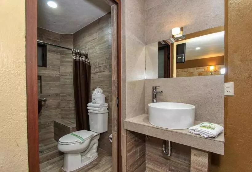 Fotos del hotel Mansion Del Cantador:  9