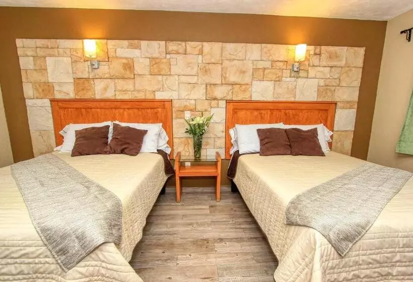 Fotos del hotel Mansion Del Cantador:  22