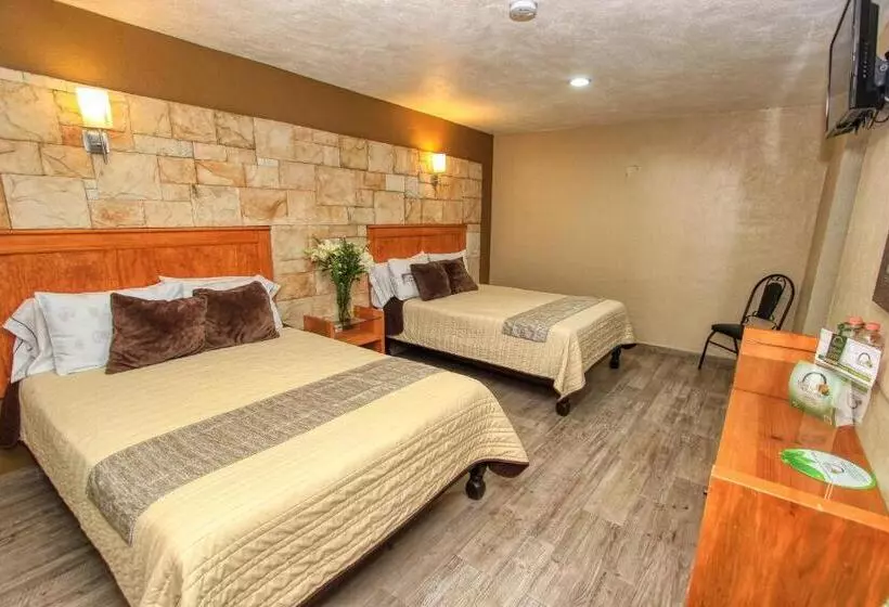 Fotos del hotel Mansion Del Cantador:  14