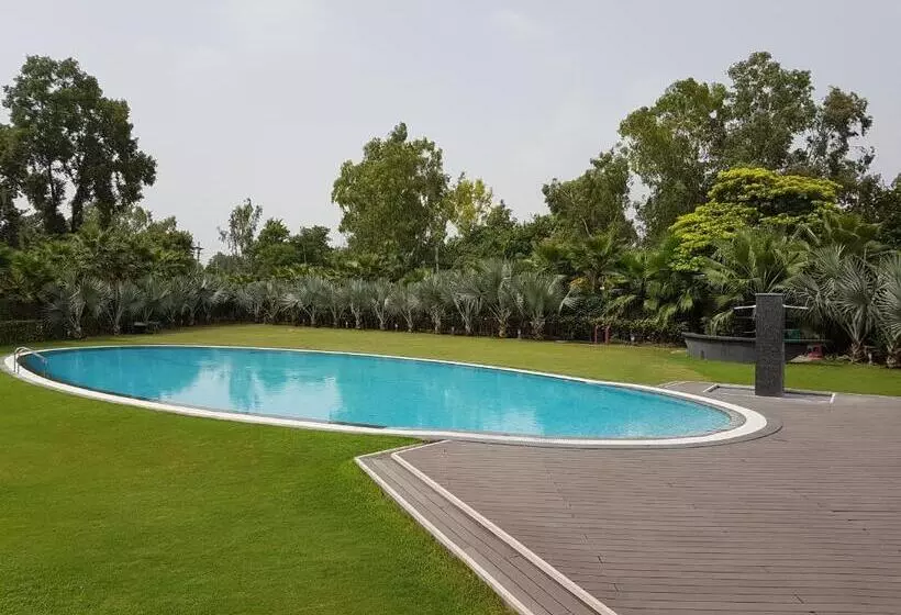 Fotos del hotel Atrio:  10