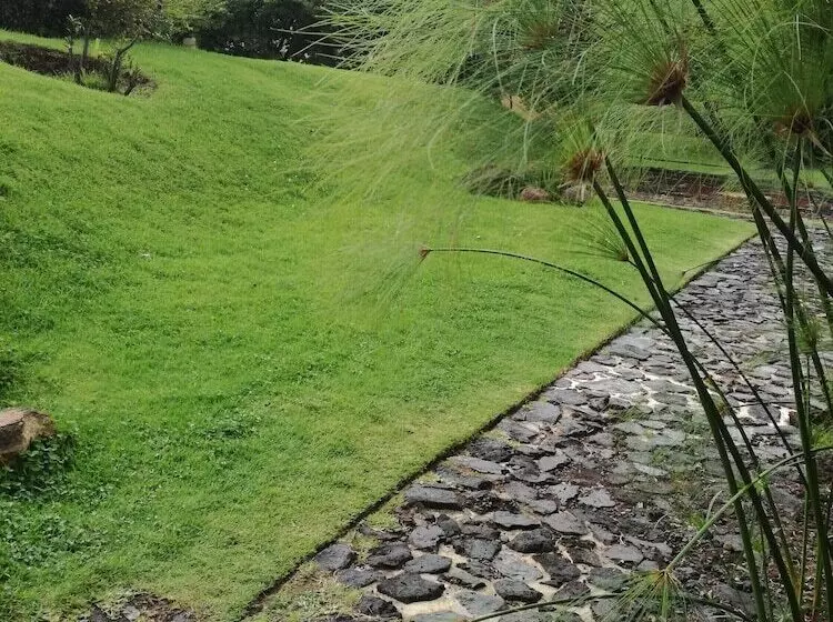 Fotos del hotel Casa En El Campo:  22