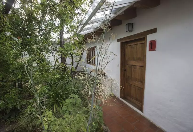 Fotos del hotel Mexicanos 10 Casavieja:  9