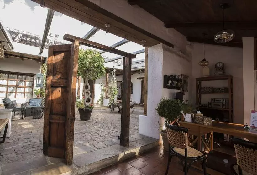 Fotos del hotel Mexicanos 10 Casavieja:  18