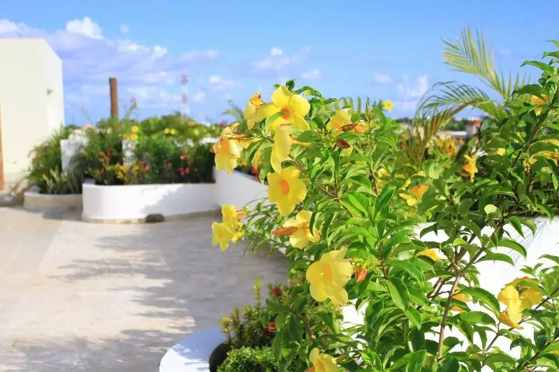 Fotos del hotel Angelo S:  24