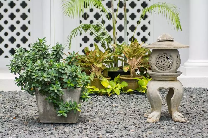 Fotos del hotel Little Nyonya:  13