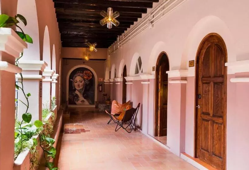 Fotos del hotel Selina San Miguel De Allende:  49