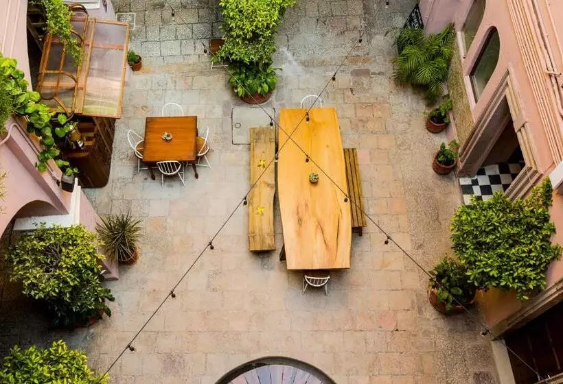 Fotos del hotel Selina San Miguel De Allende:  19