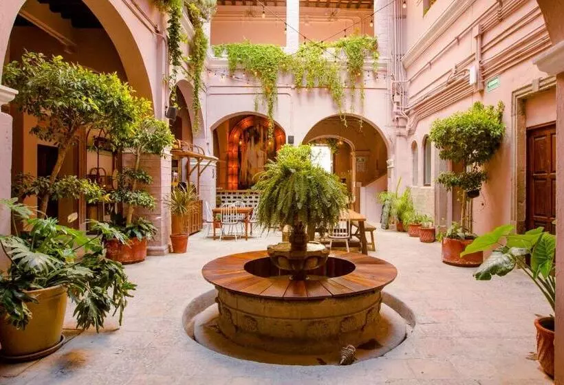 Fotos del hotel Selina San Miguel De Allende:  47