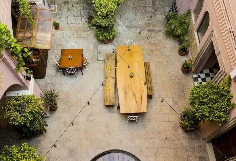 Fotos del hotel Selina San Miguel De Allende:  24