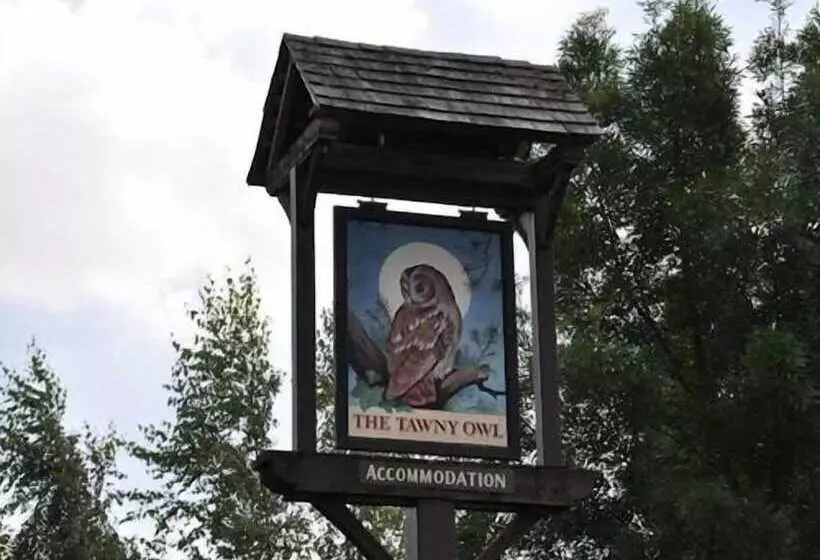 Fotos del hotel The Tawny Owl:  21