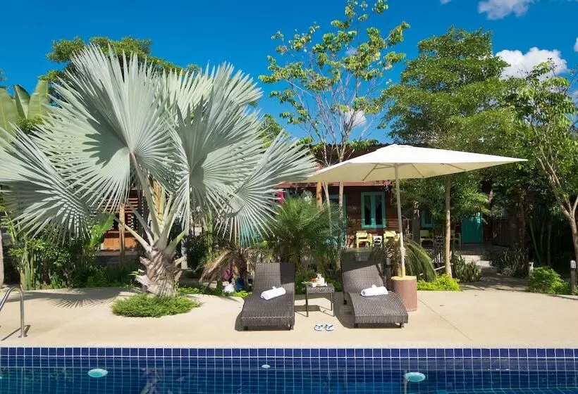 Fotos del hotel Baan Chokdee Pai Resort:  4