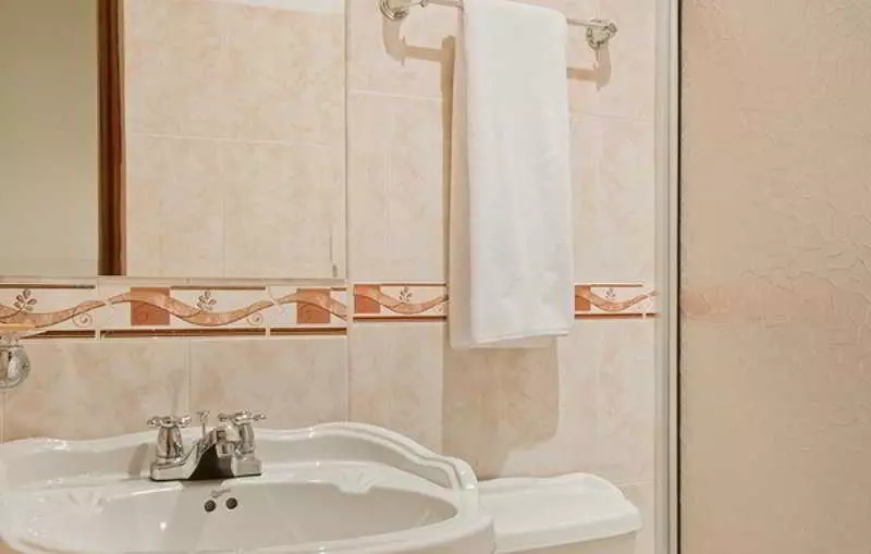 Fotos del hotel Puerta de Alcala:  5