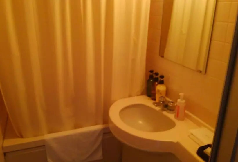 Fotos del hotel Peace Land Ishigakijima:  8