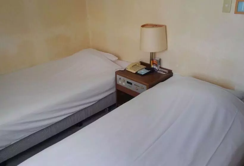 Fotos del hotel Peace Land Ishigakijima:  11