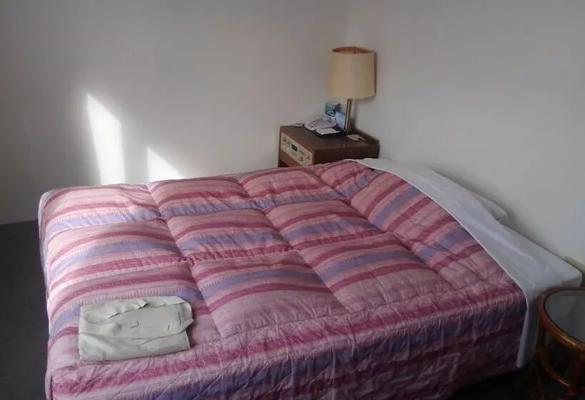 Fotos del hotel Peace Land Ishigakijima:  24