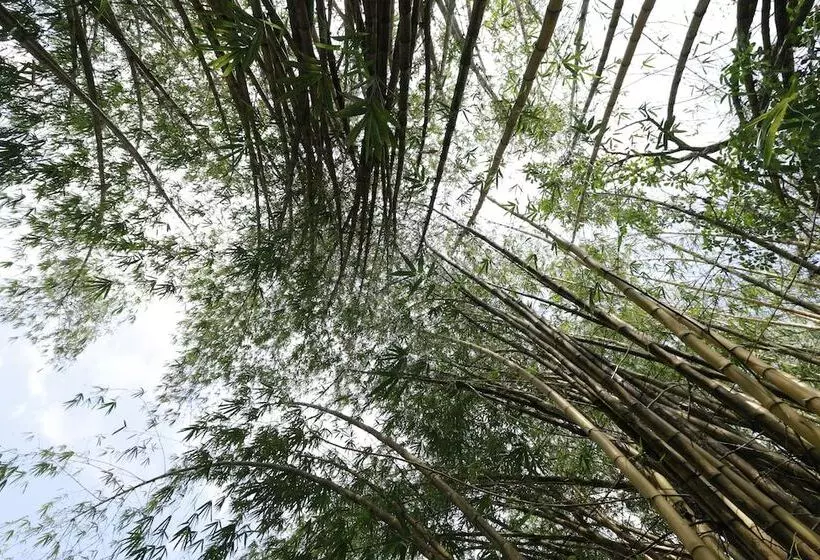 Fotos del hotel Nooit Gedacht Heritage:  23