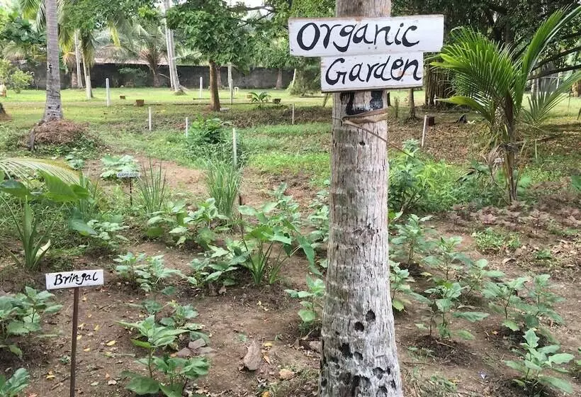 Fotos del hotel Nooit Gedacht Heritage:  20