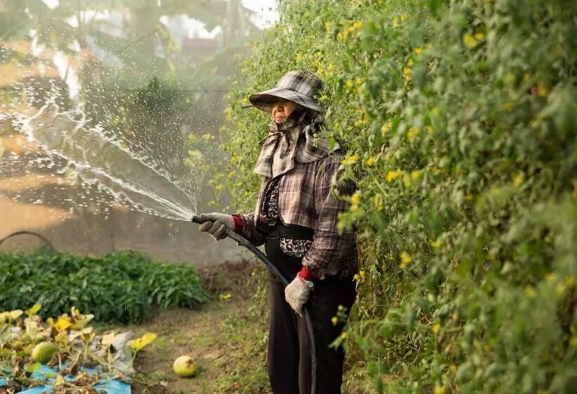 Fotos del hotel L Arc:  9