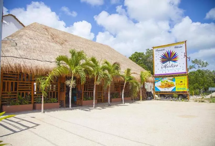 Fotos del hotel Mestizo Gallery:  6