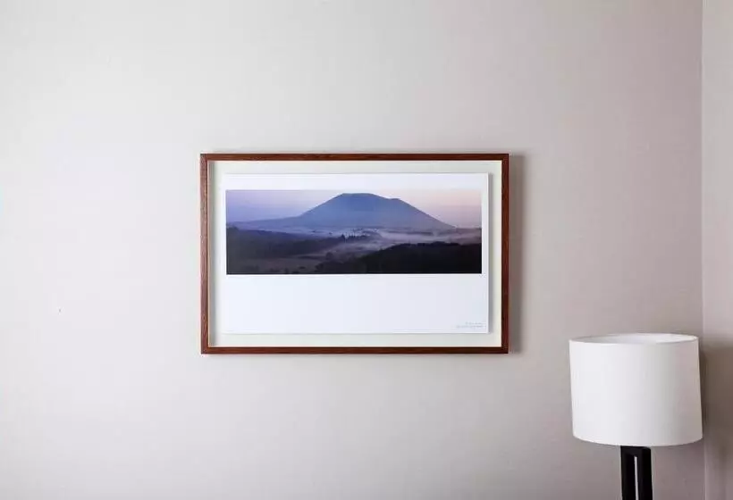 Fotos del hotel Parksunshine Jeju:  8