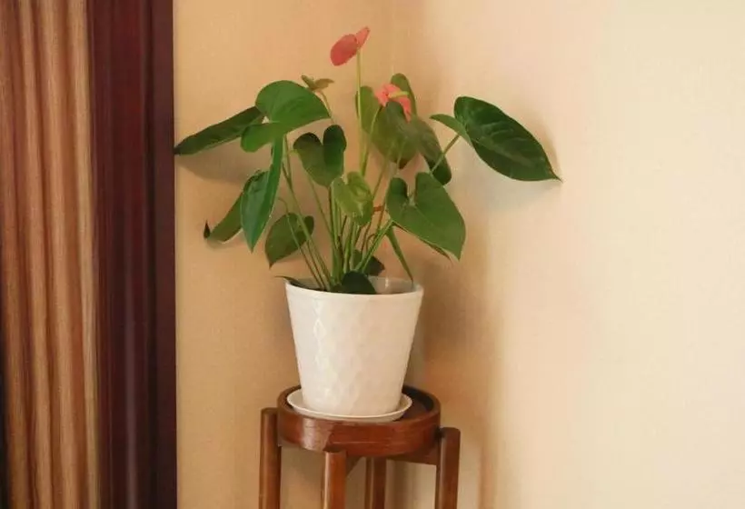 Fotos del hotel Harbour Oriental:  8