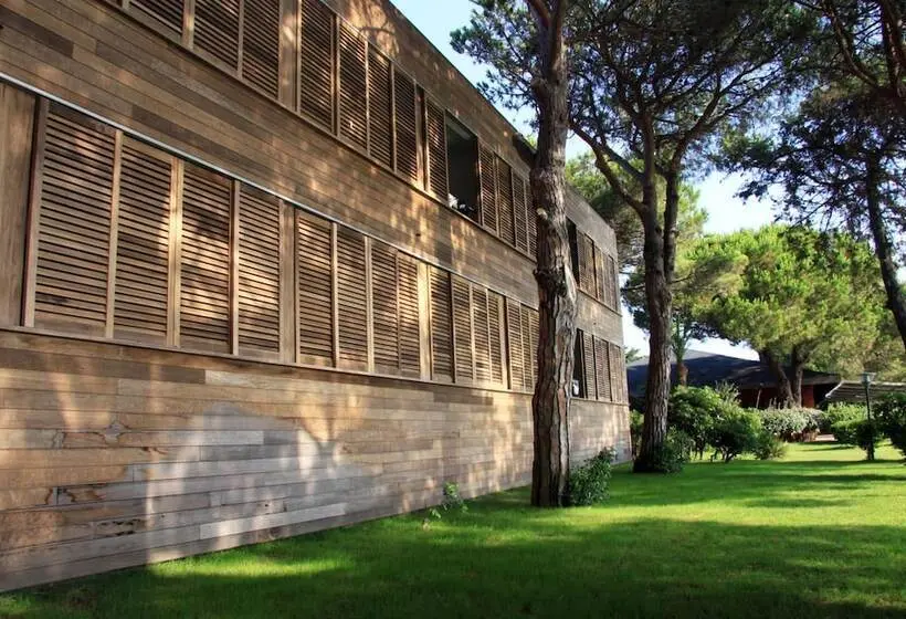 Fotos del hotel Hôtel Moby Dick:  26