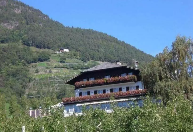 Fotos del hotel Panorama Unterinnerhof:  18