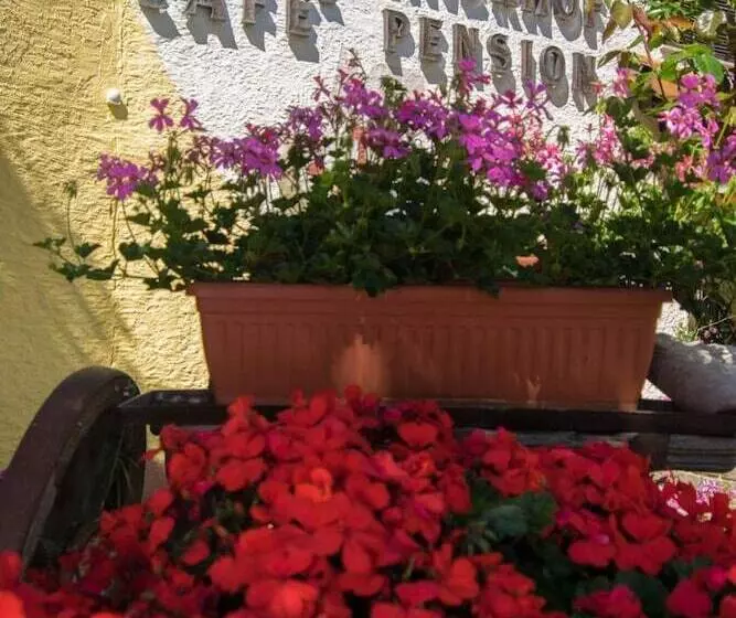 Fotos del hotel Panorama Unterinnerhof:  24