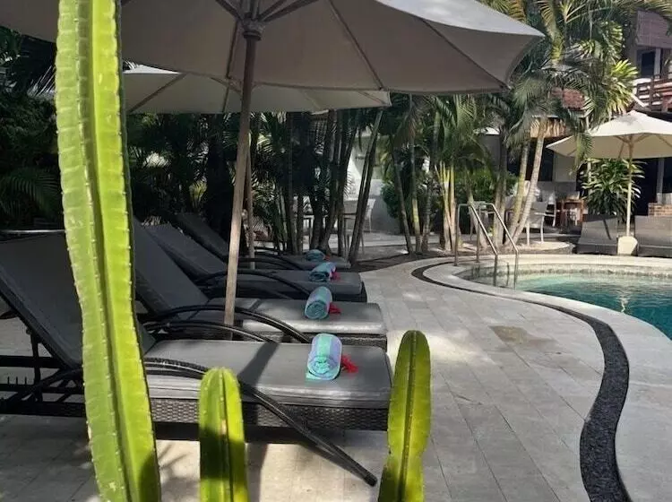 Fotos del hotel Bali Hotel Pearl:  4