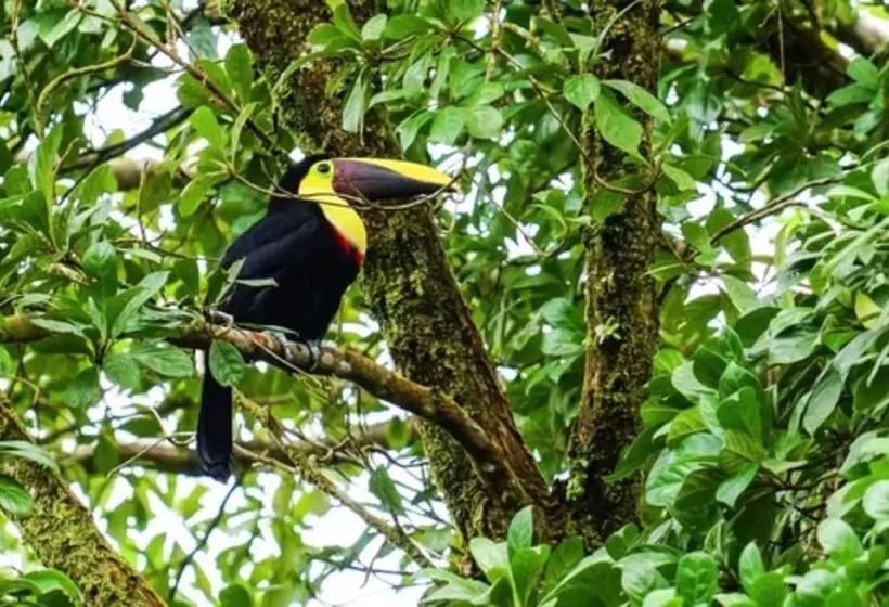 Fotos del hotel Faro Arenal:  15