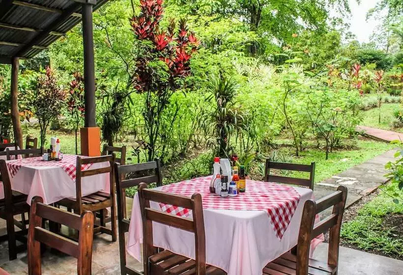 Fotos del hotel Faro Arenal:  3