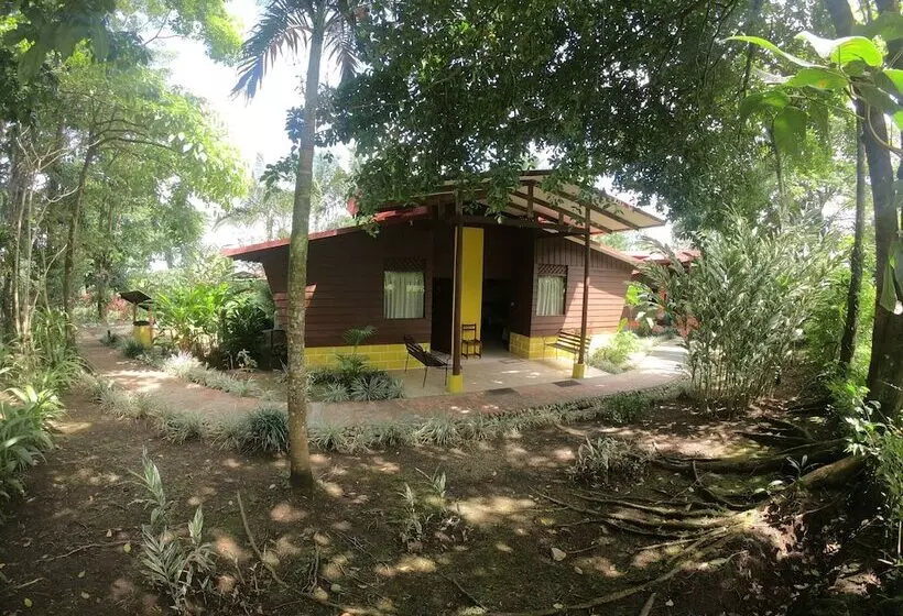 Fotos del hotel Faro Arenal:  4