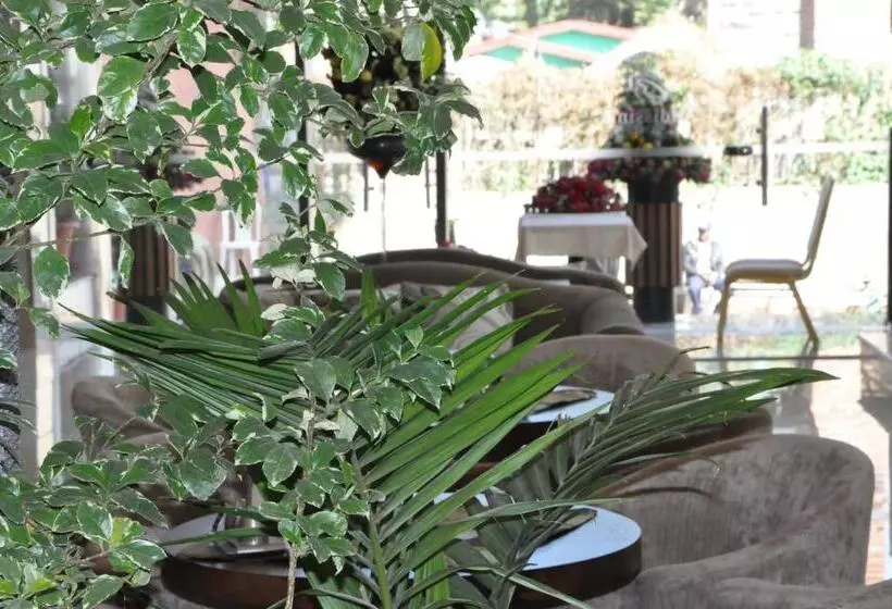 Fotos del hotel Addissinia:  6