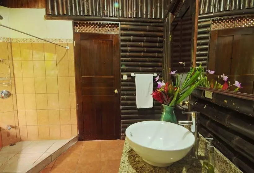 Fotos del hotel Greenlagoon Arenal Waterfall Villas:  6