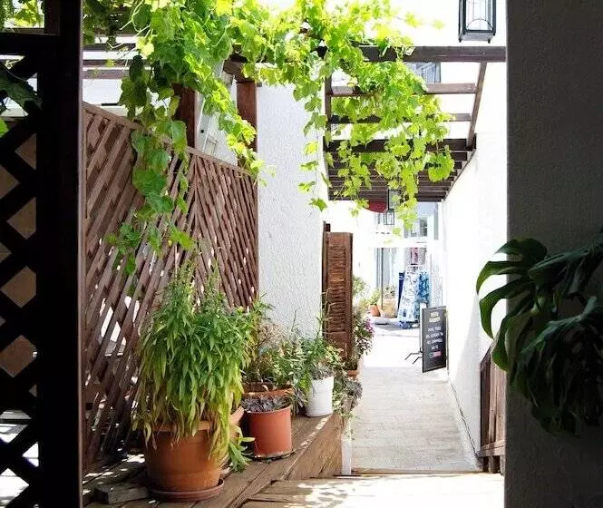 Fotos del hotel Rio:  6