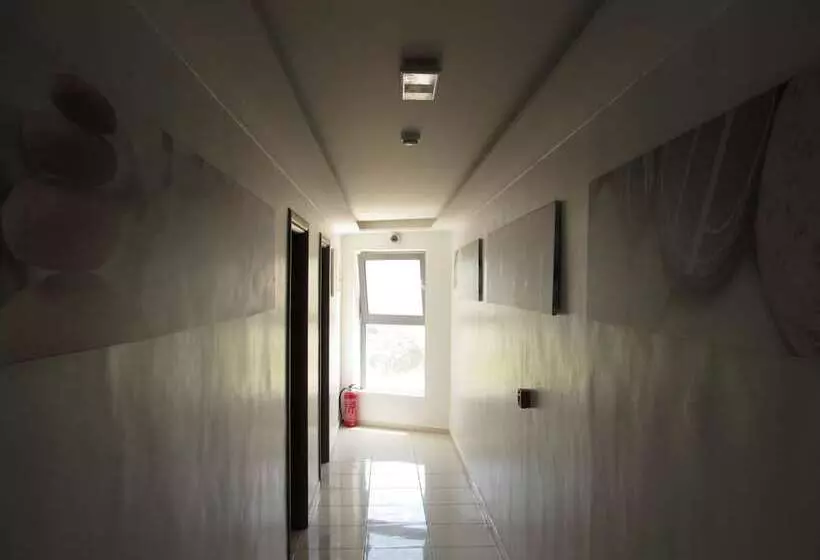 Fotos del hotel Rio:  2