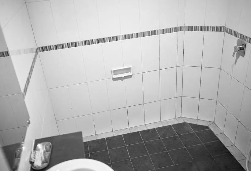 Fotos del hotel Celebes:  8