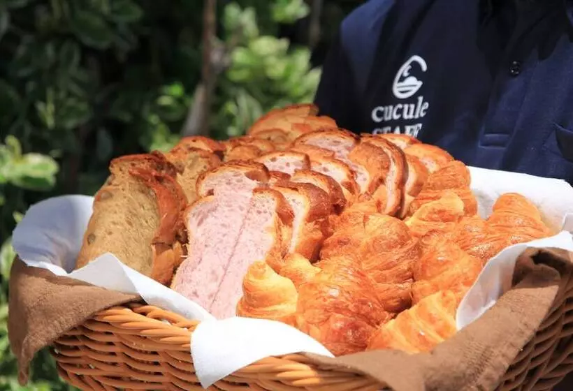 Fotos del hotel Ishigakijima  Cucule:  19